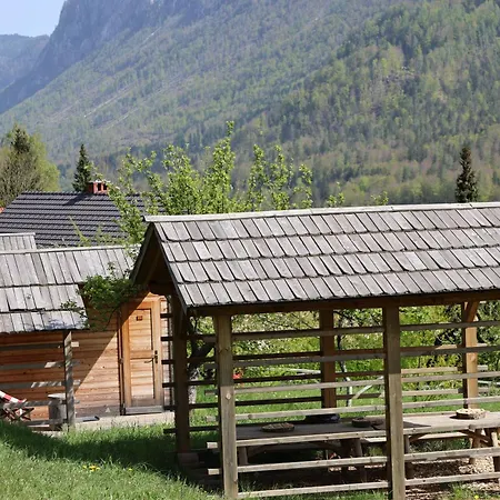 Mountain View Glamping *