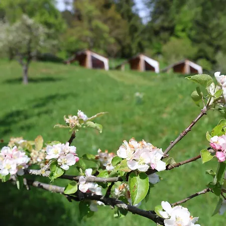 Mountain View Glamping Dovje