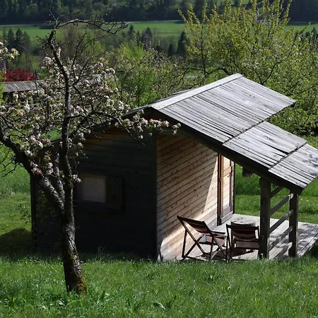 Mountain View Glamping Tatil Evi Dovje