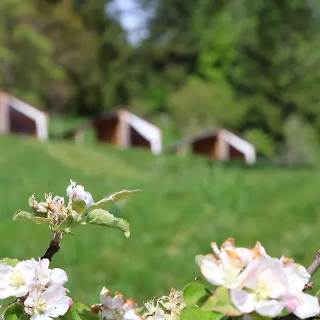 Mountain View Glamping * Dovje