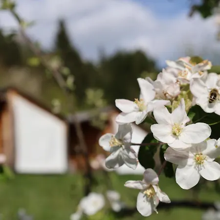 Mountain View Glamping Nyaraló