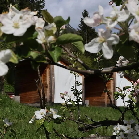 Mountain View Glamping Nyaraló