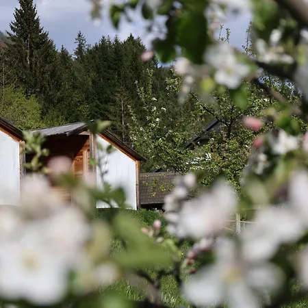 Hébergement de vacances Mountain View Glamping *
