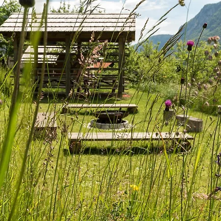 Mountain View Glamping *