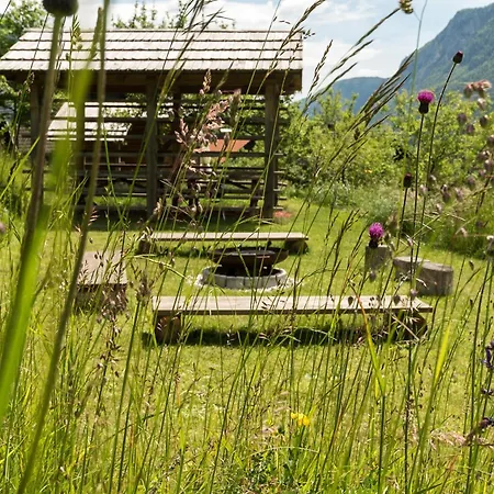 Mountain View Glamping *