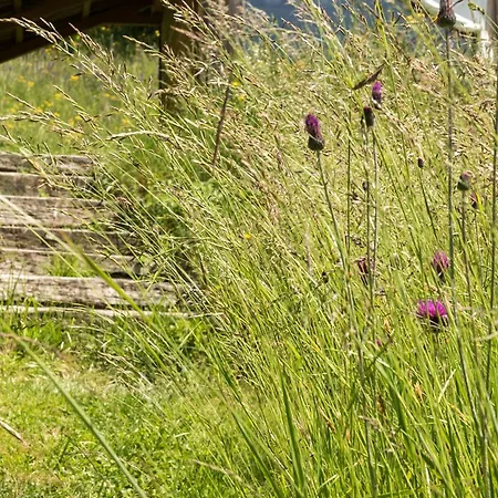 Mountain View Glamping Dovje