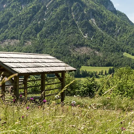Tatil Evi Mountain View Glamping Dovje