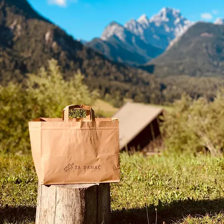 Mountain View Glamping *