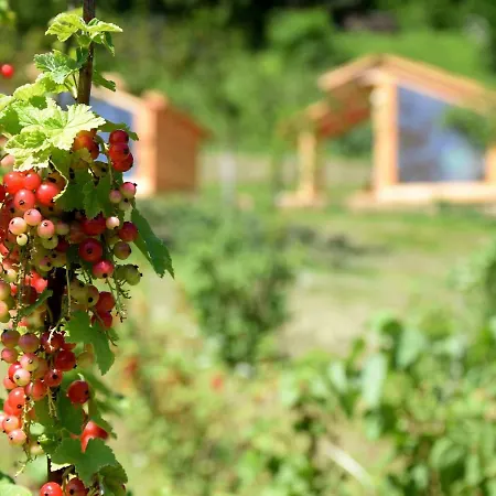 Mountain View Glamping