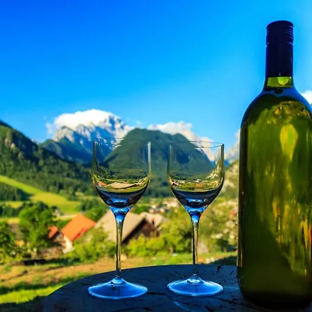 Hébergement de vacances Mountain View Glamping *