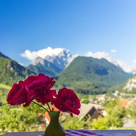Hébergement de vacances Mountain View Glamping *