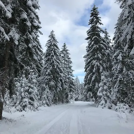Feriehus Mountain View Glamping