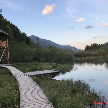 Dom wakacyjny Mountain View Glamping