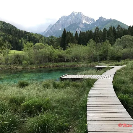 Mountain View Glamping