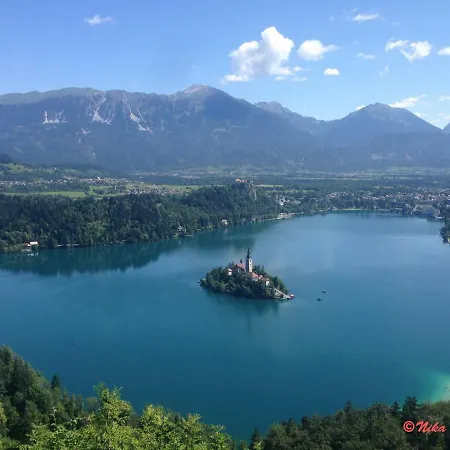 Mountain View Glamping