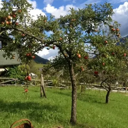 Mountain View Glamping