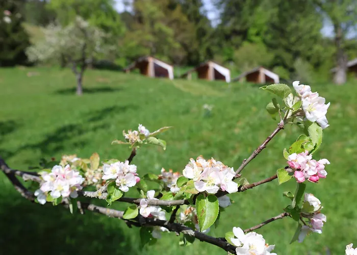 Mountain View Glamping Dovje