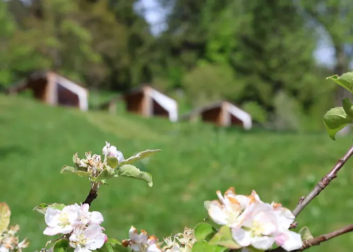 Mountain View Glamping * Dovje