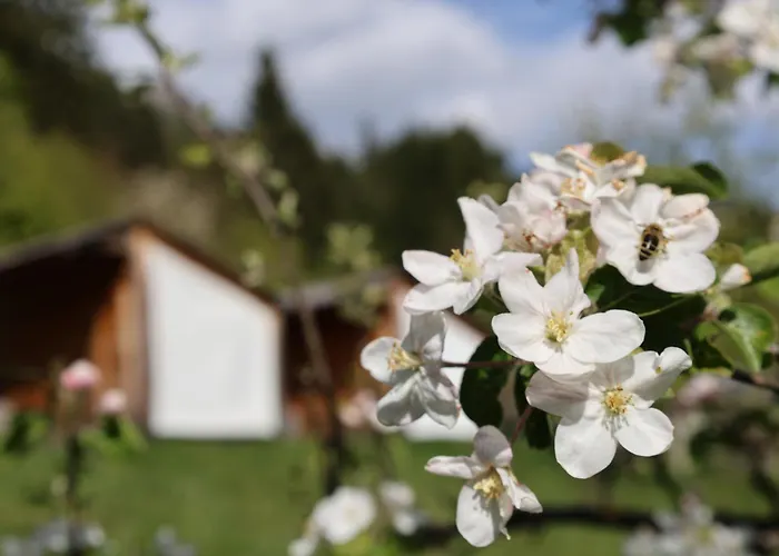 Mountain View Glamping Prázdninový dům
