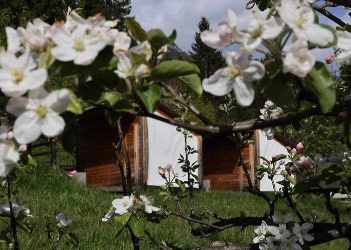 Mountain View Glamping Prázdninový dům