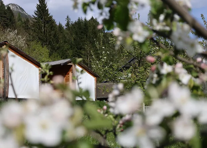 Prázdninový dům Mountain View Glamping *