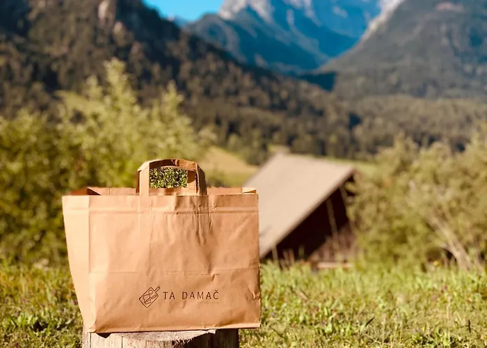 Mountain View Glamping *