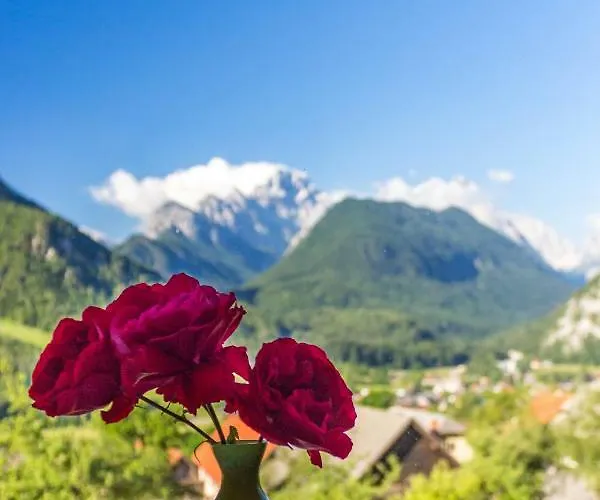Prázdninový dům Mountain View Glamping *