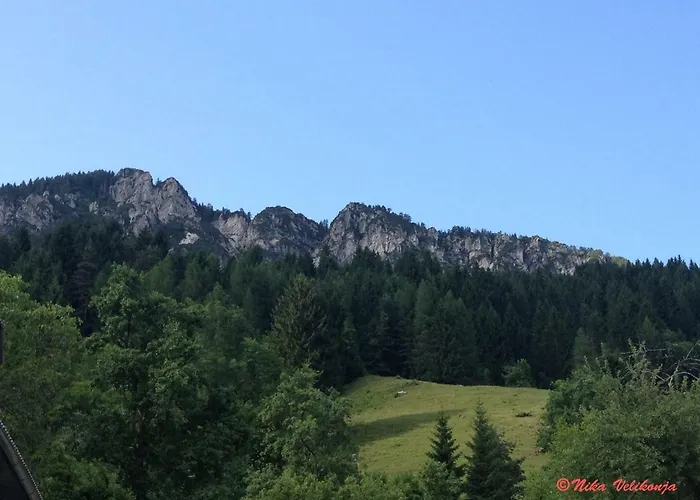 Mountain View Glamping