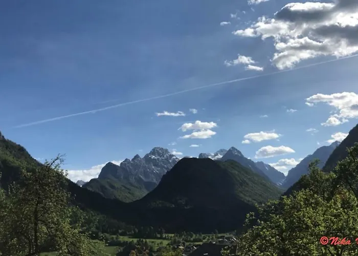 Mountain View Glamping *