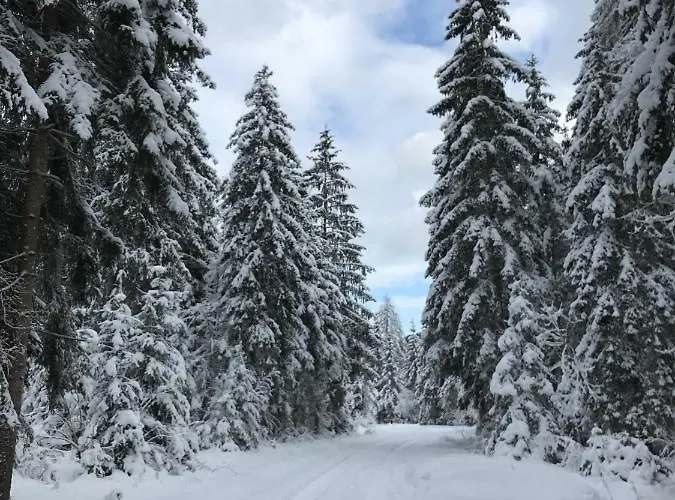 Prázdninový dům Mountain View Glamping
