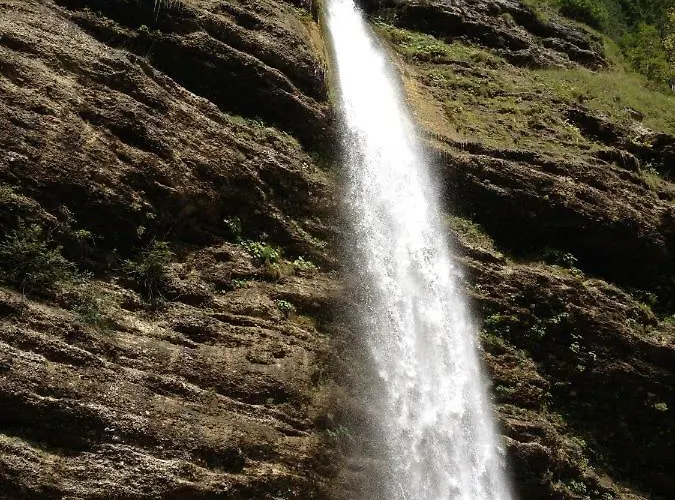 Mountain View Glamping *