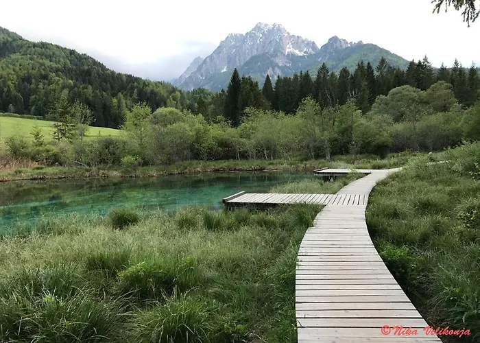 Mountain View Glamping