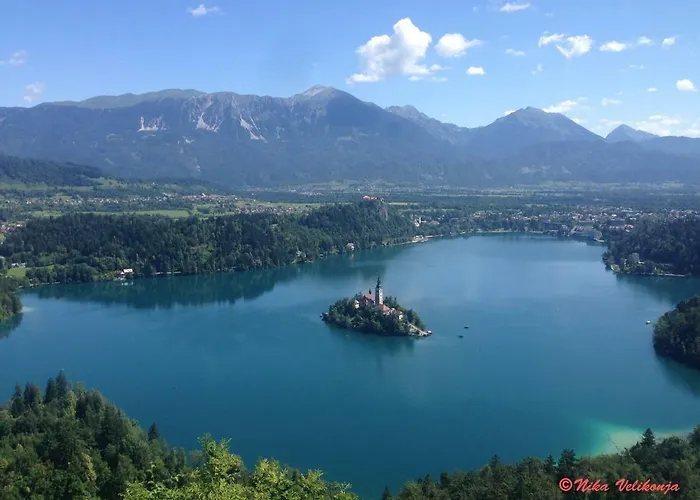 Mountain View Glamping