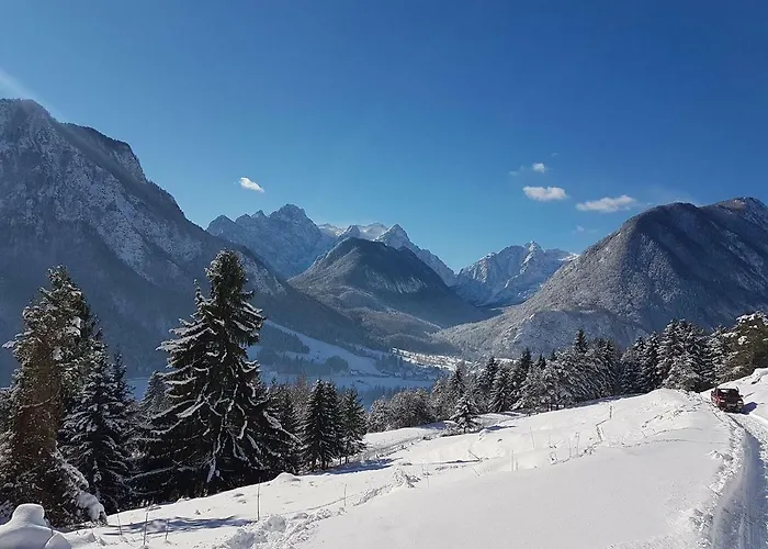 Mountain View Glamping *